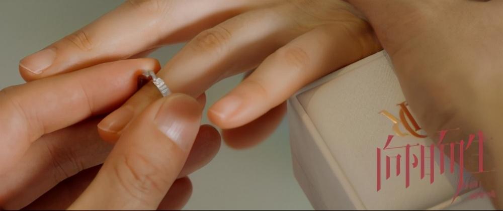 万博体育热播影视剧都钟情的DR钻戒戳中了万千女孩的爱情梦(图5)